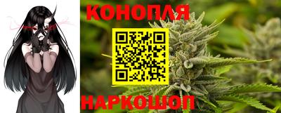 гашик Ирбит
