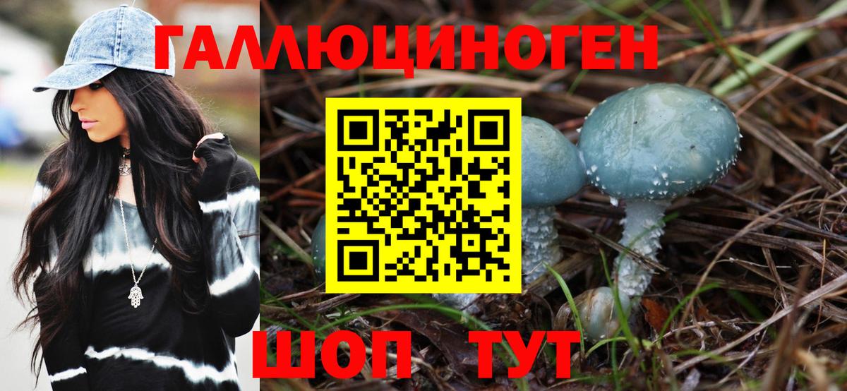 Галлюциногенные грибы MAGIC MUSHROOMS  Вход с VPN  Буйнакск 