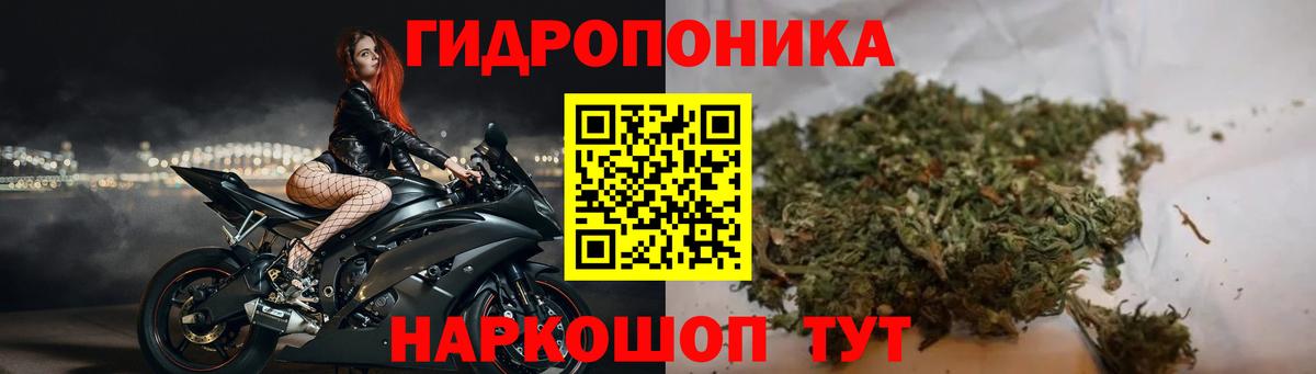 Бошки Шишки Ganja  Бошки марихуана Ganja  Марихуана тримм  Вход с VPN  Бошки Шишки тримм  Буйнакск 